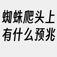 蜘蛛爬头上有什么预兆