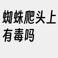 蜘蛛爬头上有毒吗