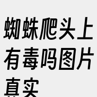 蜘蛛爬头上有毒吗图片真实