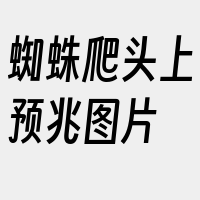 蜘蛛爬头上预兆图片