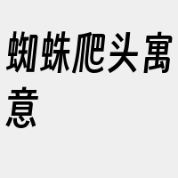 蜘蛛爬头寓意