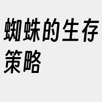 蜘蛛的生存策略