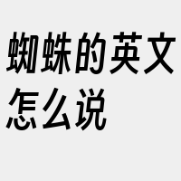 蜘蛛的英文怎么说