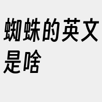 蜘蛛的英文是啥