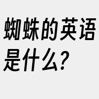 蜘蛛的英语是什么?