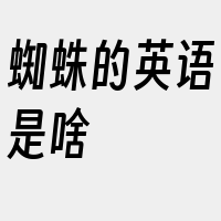 蜘蛛的英语是啥