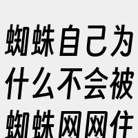 蜘蛛自己为什么不会被蜘蛛网网住