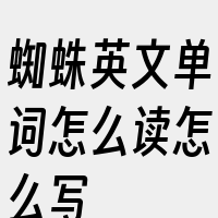 蜘蛛英文单词怎么读怎么写