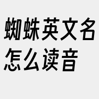 蜘蛛英文名怎么读音