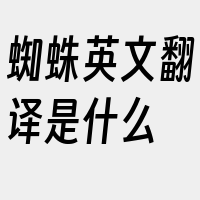 蜘蛛英文翻译是什么