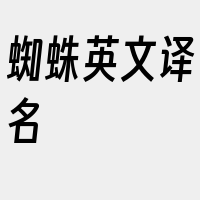 蜘蛛英文译名