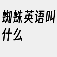 蜘蛛英语叫什么