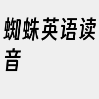 蜘蛛英语读音