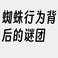 蜘蛛行为背后的谜团