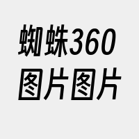 蜘蛛360图片图片