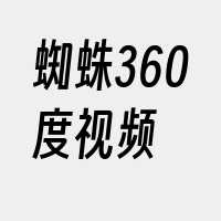 蜘蛛360度视频