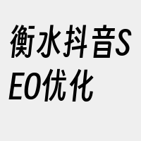 衡水抖音SEO优化