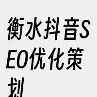 衡水抖音SEO优化策划