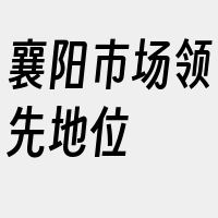 襄阳市场领先地位