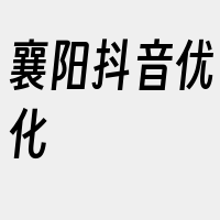 襄阳抖音优化