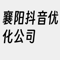 襄阳抖音优化公司