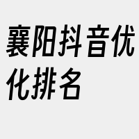 襄阳抖音优化排名