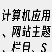 计算机应用、网站主题、栏目、SEO优化、