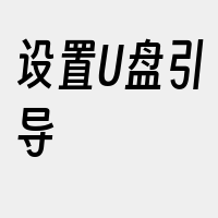 设置U盘引导