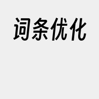 词条优化