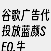 谷歌广告代投放蓝颜SEO.牛