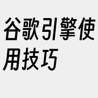 谷歌引擎使用技巧