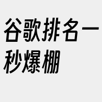 谷歌排名一秒爆棚