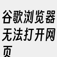 谷歌浏览器无法打开网页