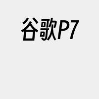 谷歌P7