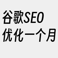 谷歌SEO优化一个月