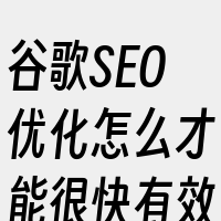 谷歌SEO优化怎么才能很快有效