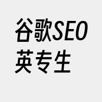 谷歌SEO英专生