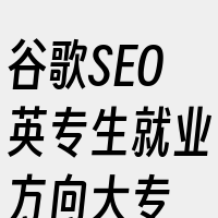 谷歌SEO英专生就业方向大专