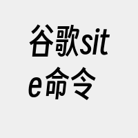 谷歌site命令