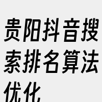 贵阳抖音搜索排名算法优化