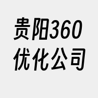 贵阳360优化公司