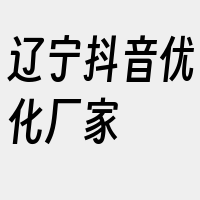 辽宁抖音优化厂家