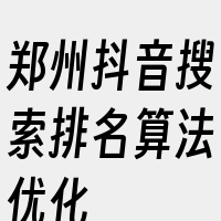 郑州抖音搜索排名算法优化