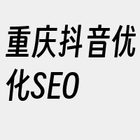 重庆抖音优化SEO