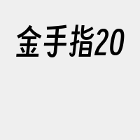 金手指20