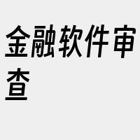 金融软件审查