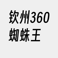 钦州360蜘蛛王