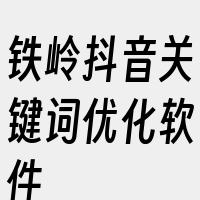 铁岭抖音关键词优化软件