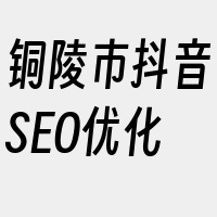 铜陵市抖音SEO优化