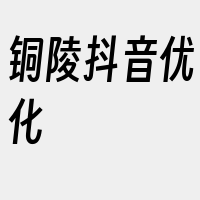 铜陵抖音优化